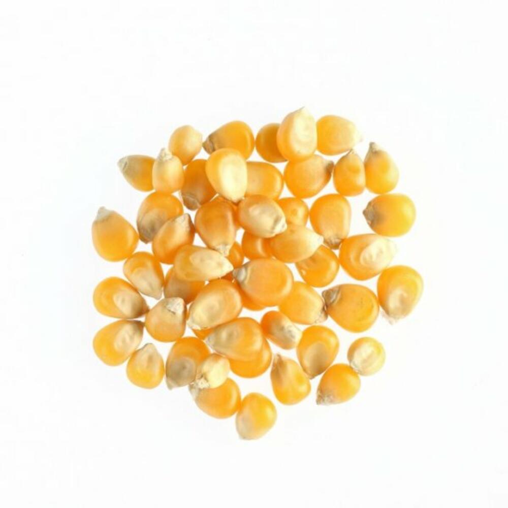Kalampoki_pop_corn_600x600